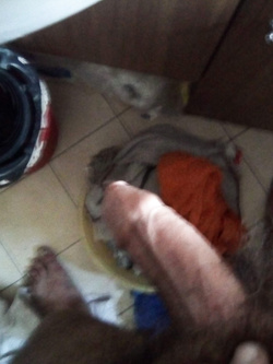 Il mio cazzo Parte 29