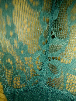 Per una sera ho provato a indossare intimo femminile ....