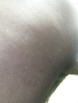 Sì, sono una troia!