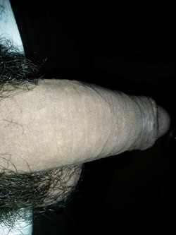 Il cazzone di febbraio