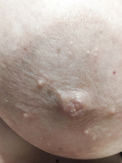 Mia moglie parte seconda