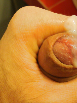 Il mio cazzo è a tua disposizione