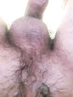 Foto del mio culo aperto