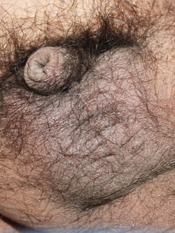 Il mio piccolino Parte 3