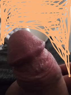 Cerco esperienza amatoriale