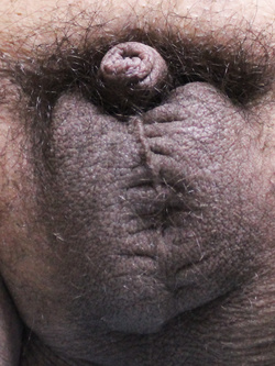 Giorni di quarantena