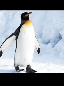 Single libero e voglioso????????