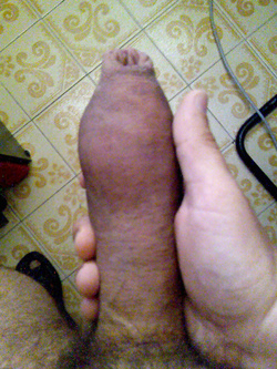 fallo diventare duro e poi ci giochi