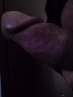 Il mio cazzo per cavalcare