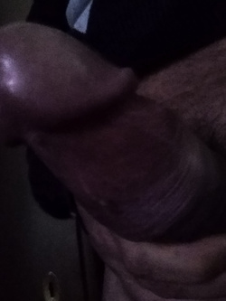 Il mio cazzo per cavalcare