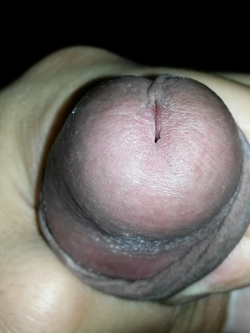 Estate 2020 l'arnese