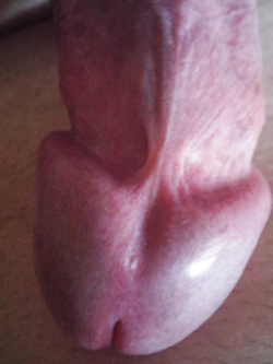 Tutto per voi signore