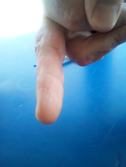 Il mio compagno di viaggio