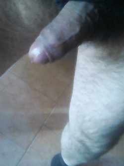 Attivo peloso in carne