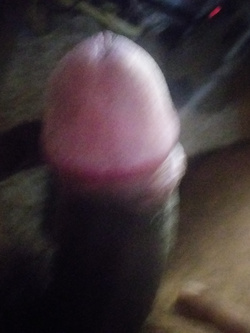 Prima e dopo RASATURA