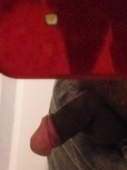 Prima e dopo RASATURA