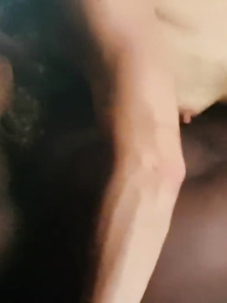 La vacca e i suoi amici