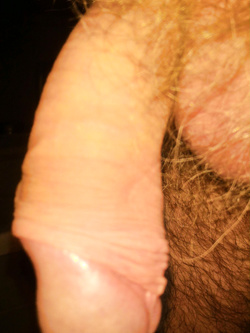 Un bel cazzo per voi donne