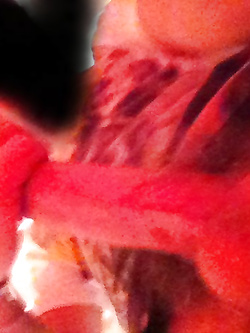 il mio cazzo Parte 29