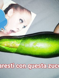 La zucchina del mio orto