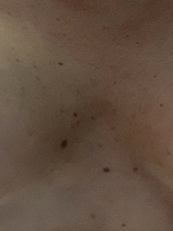 Le mie tette Parte 6