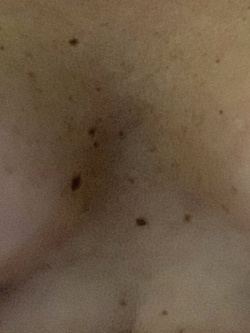 Le mie tette Parte 6