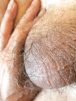 Sempre lei... mia moglie!