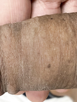 Chi me lo fa diventare duro??