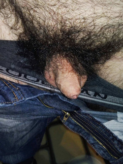 il mio pelosetto pronto per voi...