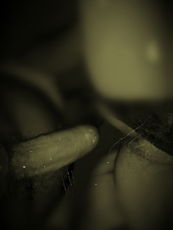 Miluva per voi Parte 2