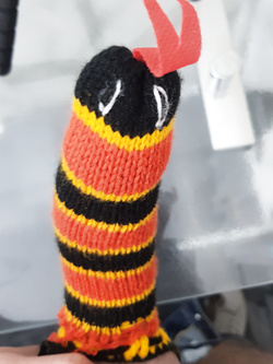 Prime giornate fredde ...