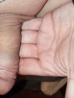 Giacomino 41enne.  2