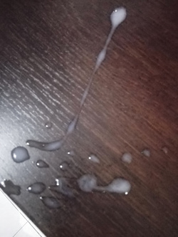 Pensando la mia grande lurida troia