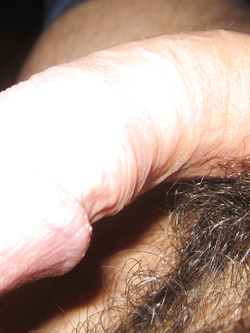 Uomo disponibile per donna...sono anche bisex!