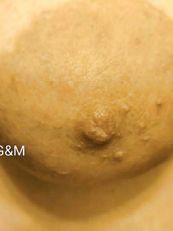 LE MIE TETTE DA VICINO