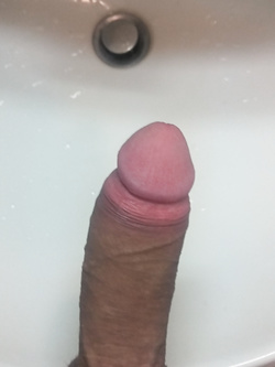 La mia minchia per voi porcelle