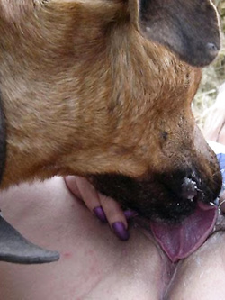 Al mio maiale piace la coda