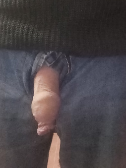 Il mio giacomino a primavera