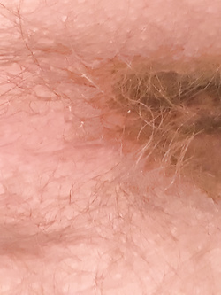 Cazzo duro pronto per sborrare