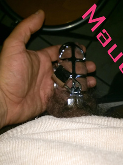 Ritorna la zona gialla, il sole ed il mare...e le mie corna