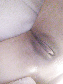 Aspetta commenti porci