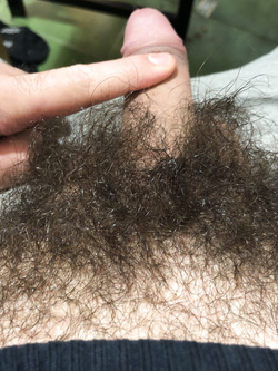 Il mio cazzo / My cock