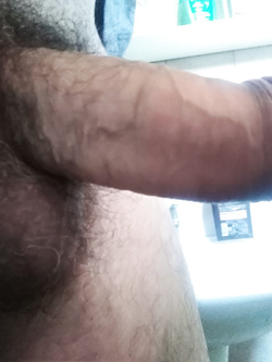 Stallone per donne mature o anziane