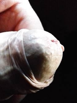 Album 1 - panoramica di un uomo di mezza età