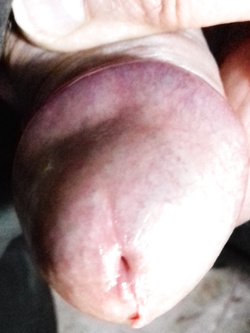 Album 1 - panoramica di un uomo di mezza età