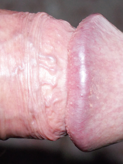 Più si matura e ..... più buono viene il .....