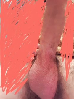 ECCOLO PER VOI TROIE