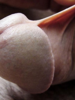 Il cazzo bagnato, un po' di culo e varie.