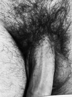 Il cazzo bagnato, un po' di culo e varie.