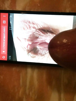 Tributo a troieta vogliosa